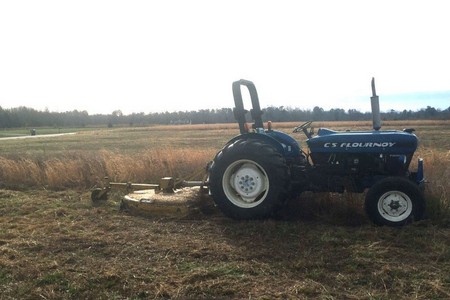 Why Summer Is the Perfect Time for Bush Hog Mowing in Richmond, VA Thumbnail