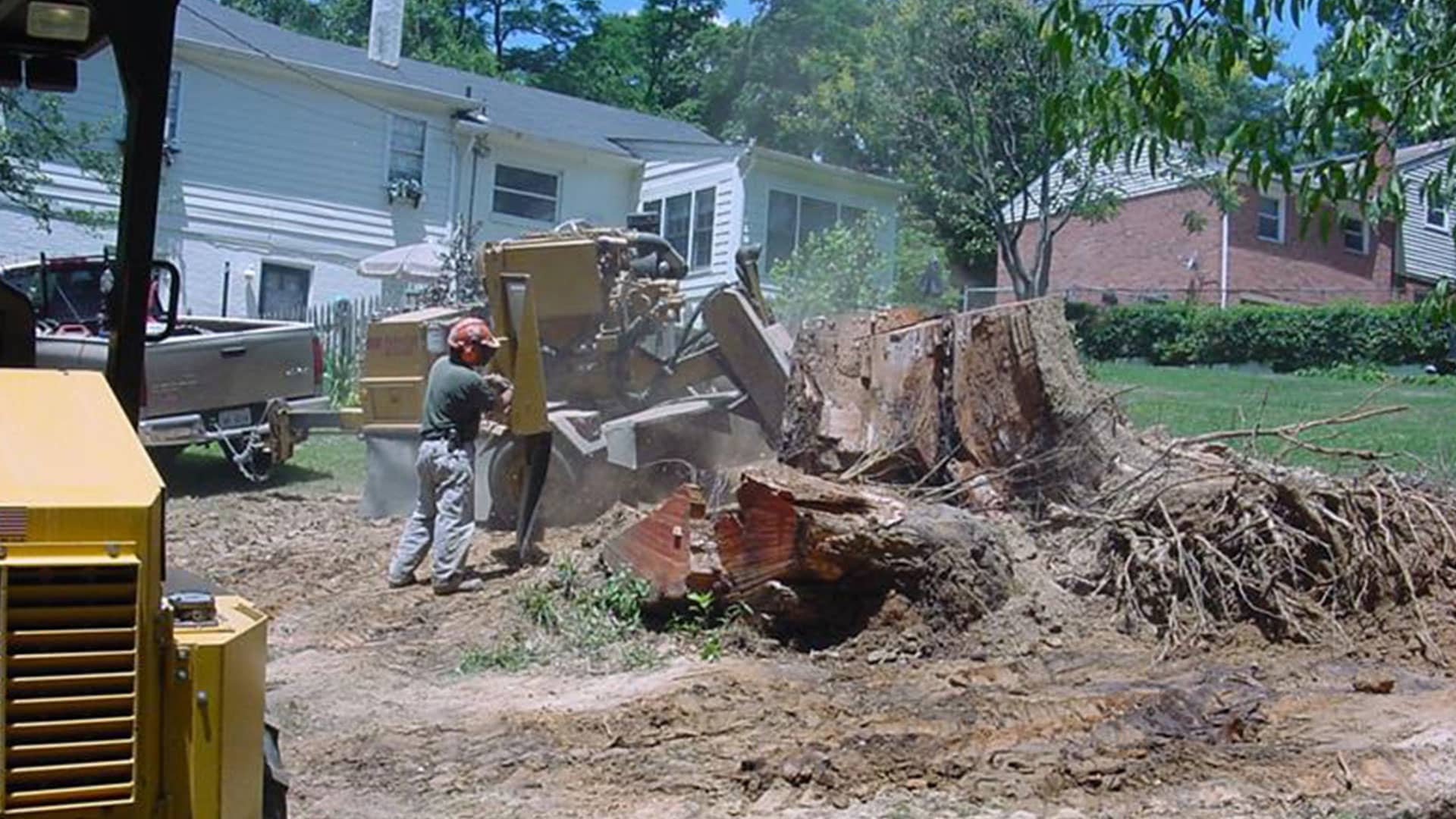 Stump Grinding Banner Image