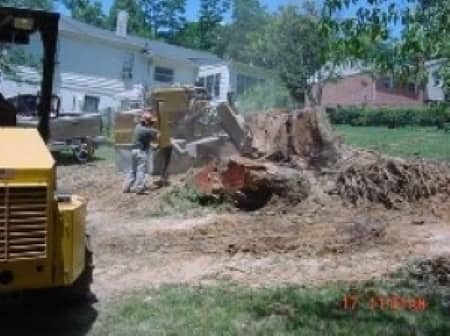 Benefits of Richmond Stump Grinding