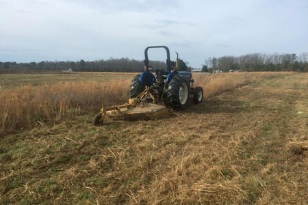 The Importance of Professional Bush Hog Mowing