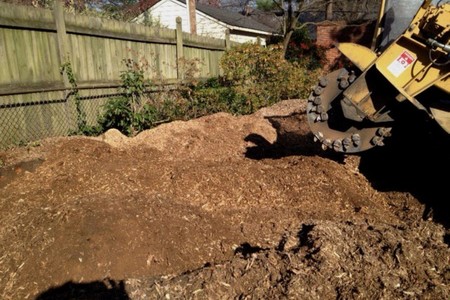 Tree Stump Grinding and Removal