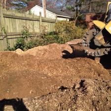 stump-grinding 5