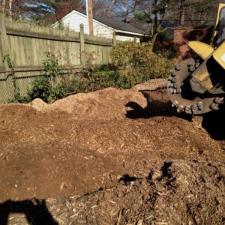 stump-grinding 1