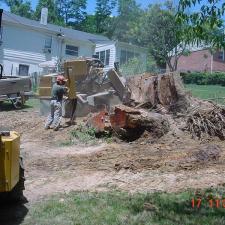 stump-grinding 8