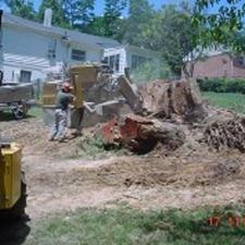 tree-removal 33