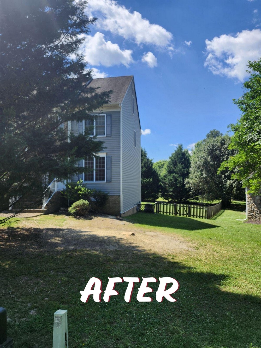 Experienced Tree Removal and Stump Grinding in Mechanicsville, VA Thumbnail