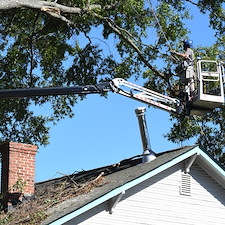 Hazardous-Tree-Removal-in-Richmond-VA 0