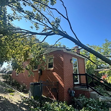 Storm-Swept-Trees-Cause-Significant-Damage-in-Richmond-VA 1