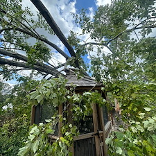 Storm-Swept-Trees-Cause-Significant-Damage-in-Richmond-VA 2