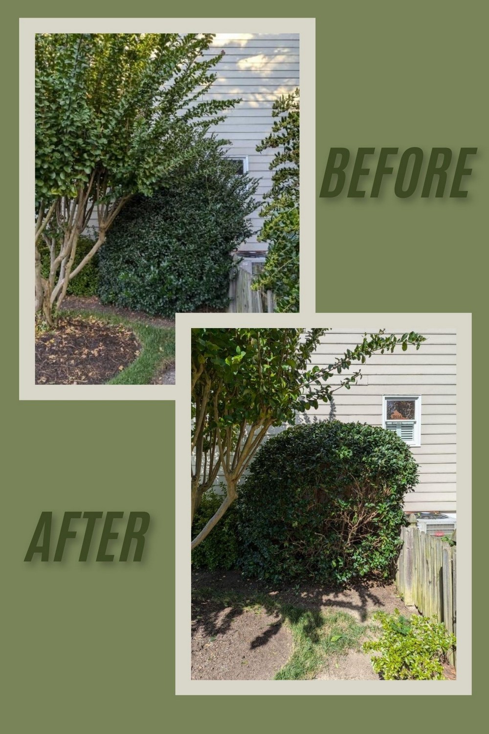 Vibrant Shrub and Bush Trimming in Richmond, VA Thumbnail