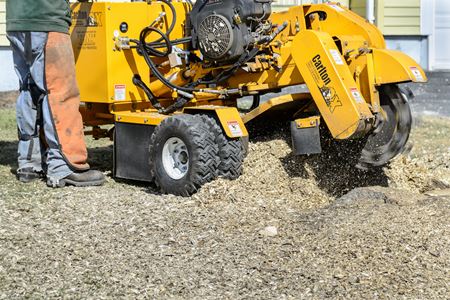 Stump Grinding & Removal